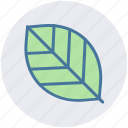 ecology, leaf, nature, plant