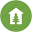 fir tree, forest, glasshouse, greenhouse, pine tree 