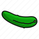 cucumber