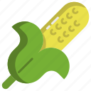 corn