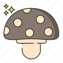 mushrooms, fungus, mushroom, fungi, vegetable, toadstool