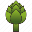 artichoke, green, healthy, nutrient, vegetable