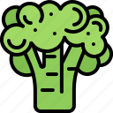 broccoli, food, vegetable, shop