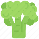 broccoli, food, vegetable, shop