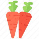 carrot, food, vegetable, shop