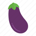 aubergine, colour, eggplant, food, garden, health, vegetable