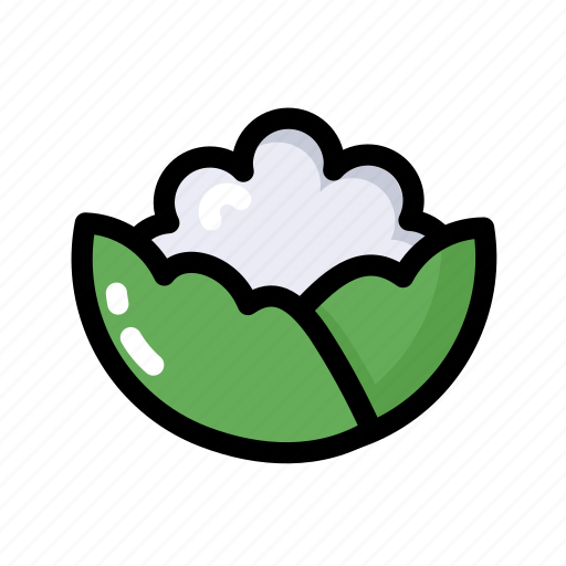 Cauliflower, food, healthy, ingredient, vegan, vegetable icon - Download on Iconfinder