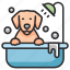 bath, hygiene, shower, grooming, pet, dog 