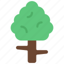 small, tree, plant, foliage, asset