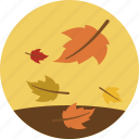 autumn, fall, leaves, weather