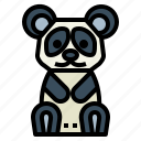 animal, bear, panda, wildlife