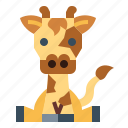 animal, giraffe, mammal, zoo