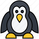 winter, penguin, animal