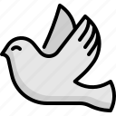 bird, peace, pigeon, wings, dove, animal, wedding