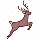 animal, christmas, deer, reindeer, winter, xmas