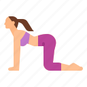 bitilasana, cow, exercise, pose, yoga