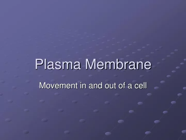 plasma membrane