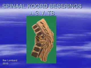 SPINAAL KOORD BESERINGS A.G.V. TB