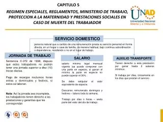 SERVICIO DOMESTICO