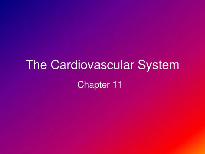 the cardiovascular system