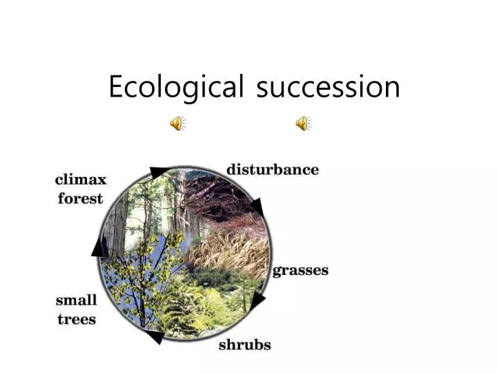 ecological succession