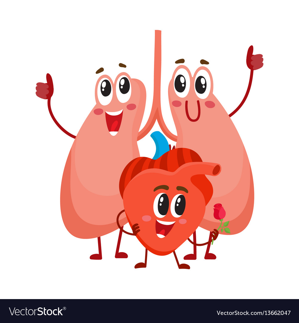 Lungs And Heart Clipart For Kids