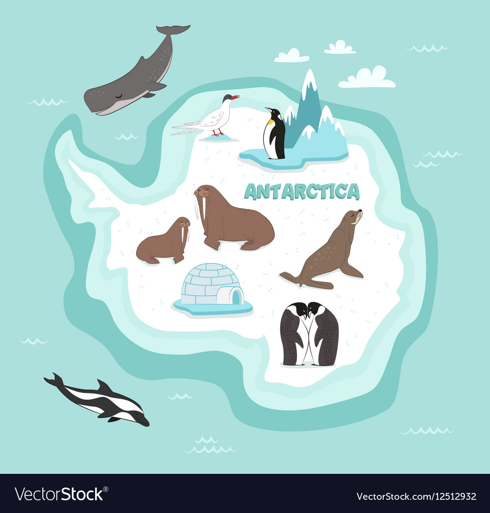 Antarctica Land Animals Clipart