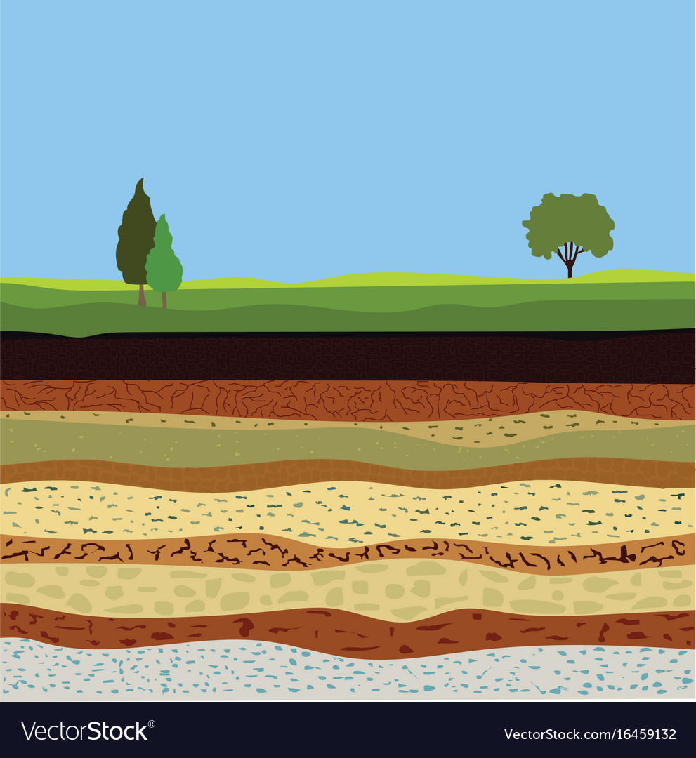 Soil formation and horizons Royalty Free Vector Image