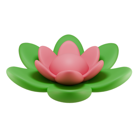 Lotus Flower  3D Icon