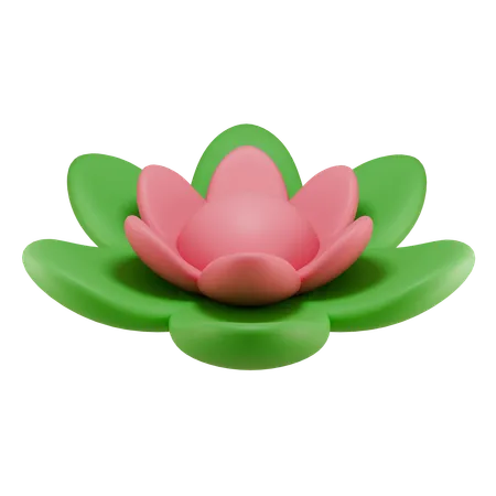 Lotus Flower  3D Icon