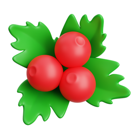 Mistletoe  3D Icon