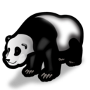 panda