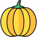 pumpkin, vegetable, agriculture, harvest