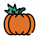 pumpkin, food, halloween, farm, plant