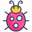 beetle, bug, bugs, insect, lady, ladybug