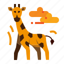 giraffe, wildlife, zoo, animal