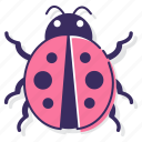 ladybug, bug, dots, insect