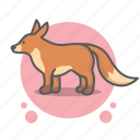 animal, nature, world, fox