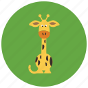 africa, animals, cute, giraffe, tall