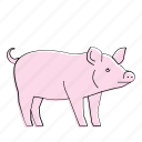 pig, animal, farm, hog, mammal