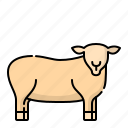 animal, animals, farm, sheep