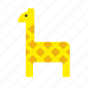 animal, giraffe