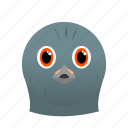 animal, bird, dove, face, gray