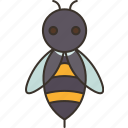 bee, insect, sting, invertebrate, animal