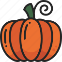 healthy, food, vegetable, autumn, pumpkin, harvest