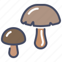 fungus, grow, healthy, mushroom, plant, shroom, vegetable