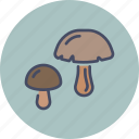 fungus, grow, healthy, mushroom, plant, shroom, vegetable