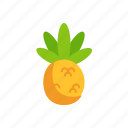 pineapple, tropical, fruit, summer