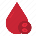 blood, health, drop, donation, transfusion