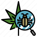 plant, disease, entomology, cannabis, science, pest